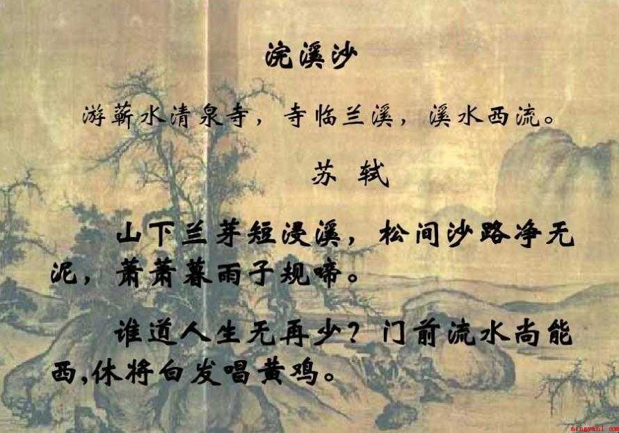 《浣溪沙》苏轼的译文是什么
