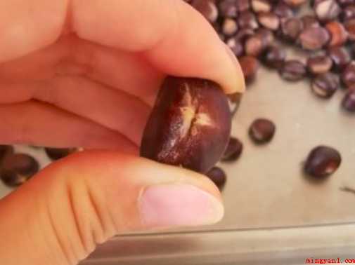 生栗子怎样做才好吃