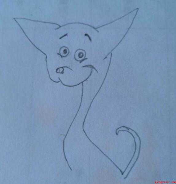 如何画吉娃娃简笔画