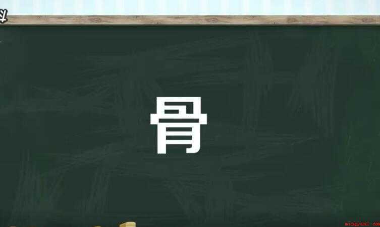 骨字组词有哪些