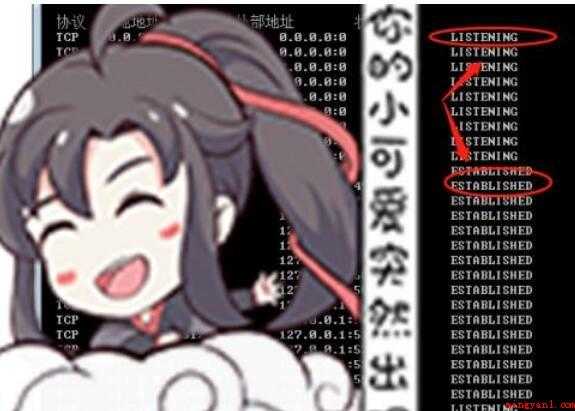 怎样查看端口的命令
