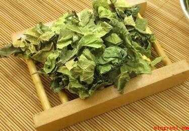 桑叶茶怎样制作