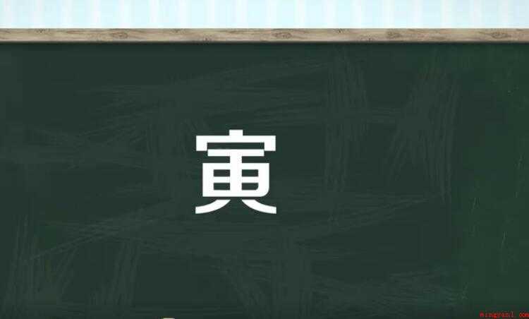 寅字组词有哪些