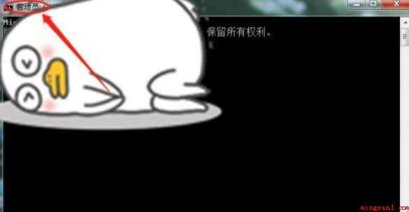怎样查看端口的命令