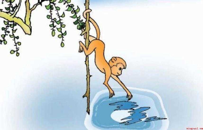 海底捞月