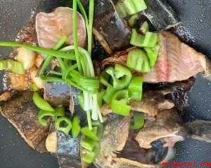 鲶鱼怎样做才好吃
