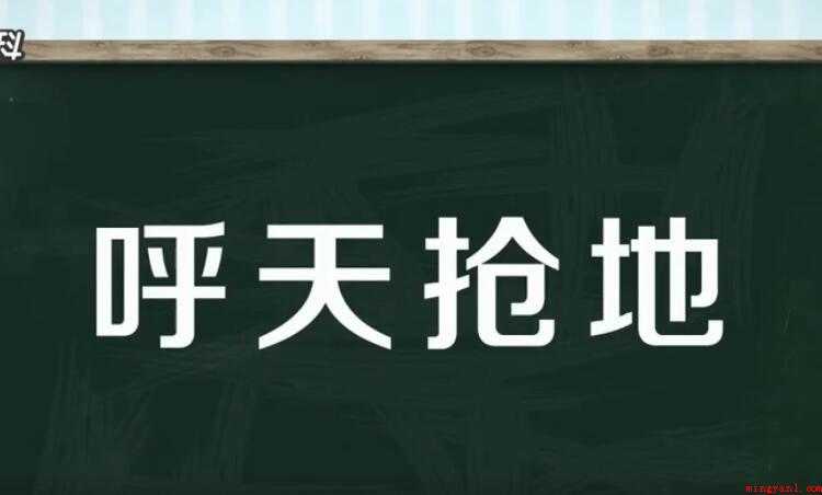 呼天抢地的意思是什么
