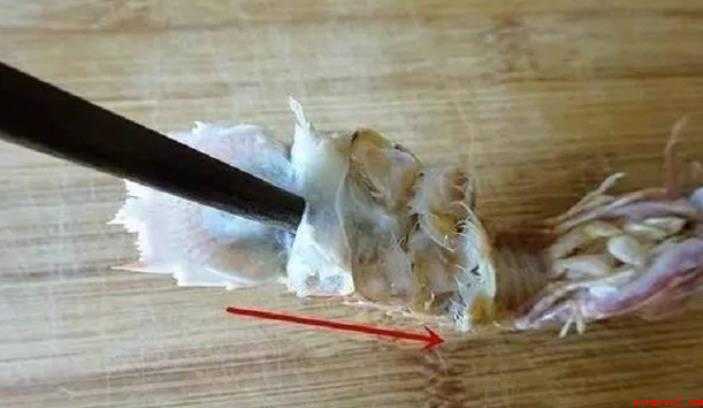 皮皮虾怎么快速剥皮