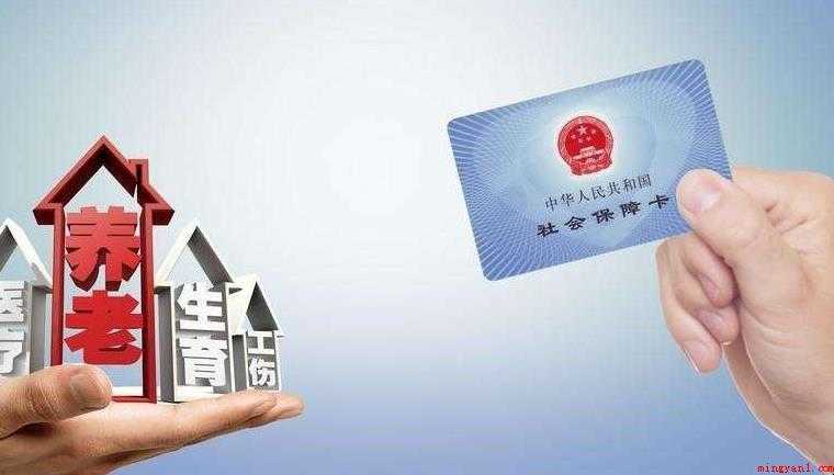 怎么查询个人社保缴纳记录