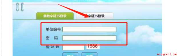 如何导出社保明细