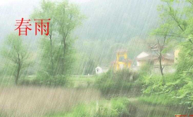 春雨像什么的比喻句有哪些