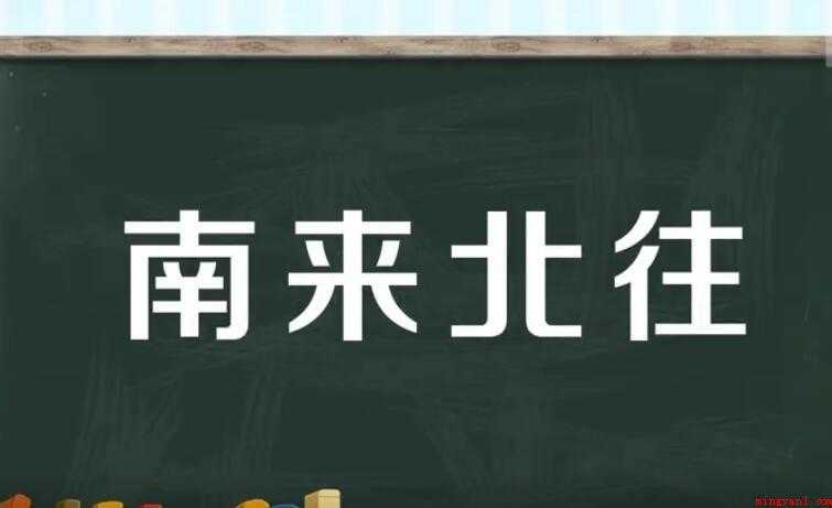南来北往是什么意思