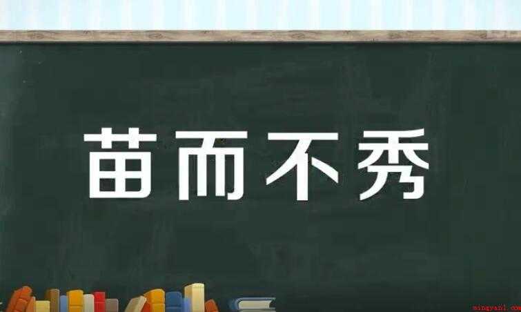 苗而不秀的意思是什么