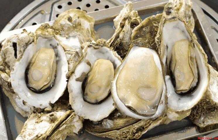 海蛎子冷藏或是冷藏
