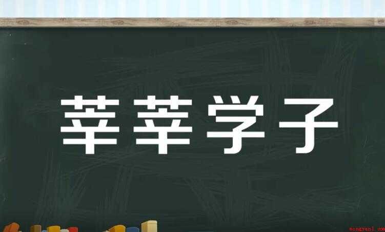 莘莘学子是成语吗