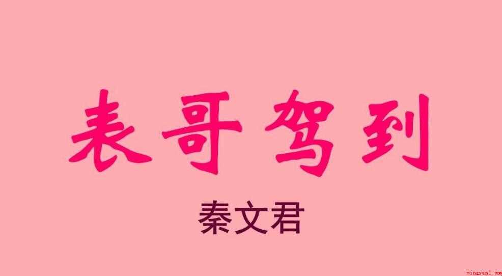《表哥驾到》读后感怎么写