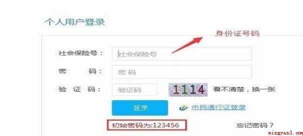 怎么查询个人社保缴纳记录