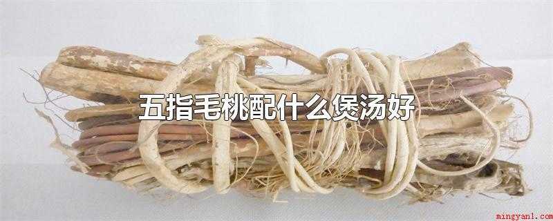 五指毛桃配什么煲汤好