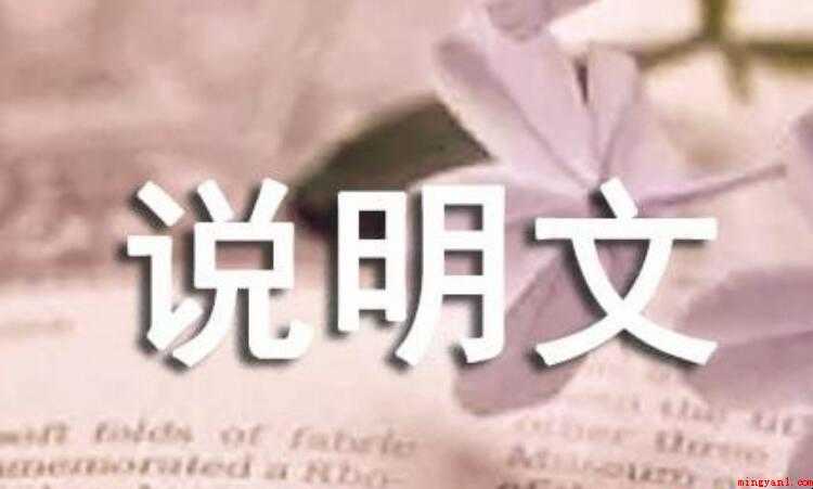 说明方法有哪些