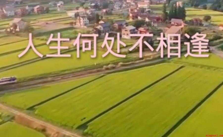 人生何处不相逢是什么意思