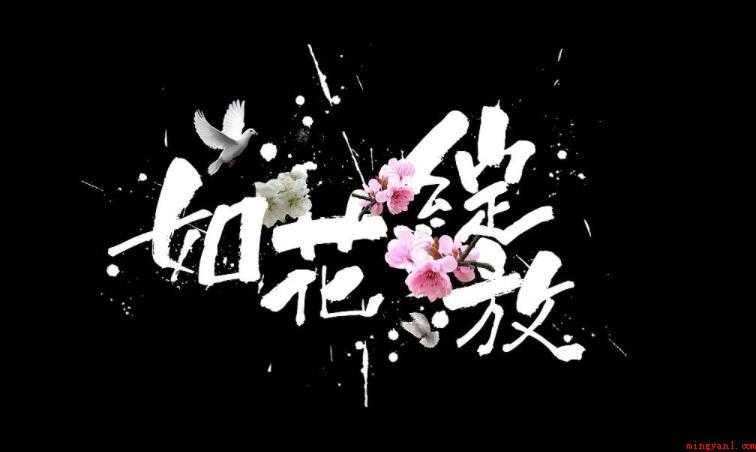 绽放的意思是什么