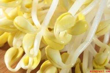 在家里怎样生黄豆芽