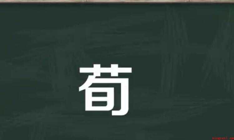 荀的组词有哪些