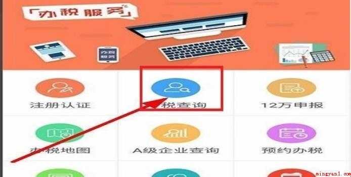 如何在网上查个人所得税