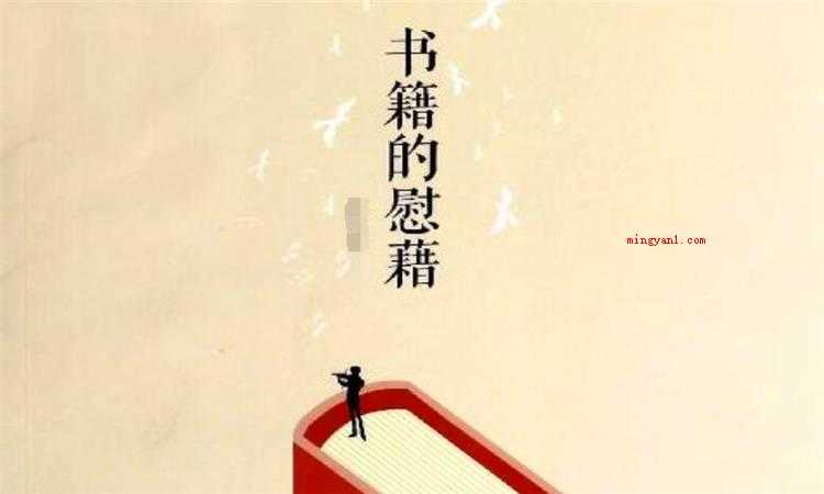 慰藉是什么意思