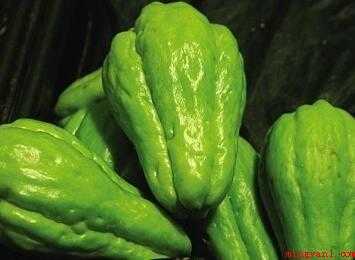 佛手瓜怎样做才美味