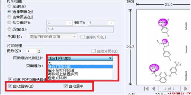pdf怎样调整页面只打印部分内容