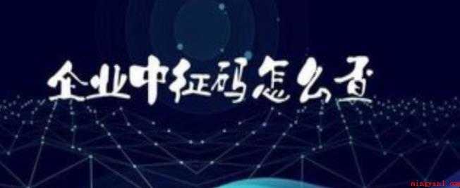企业中征码怎么查