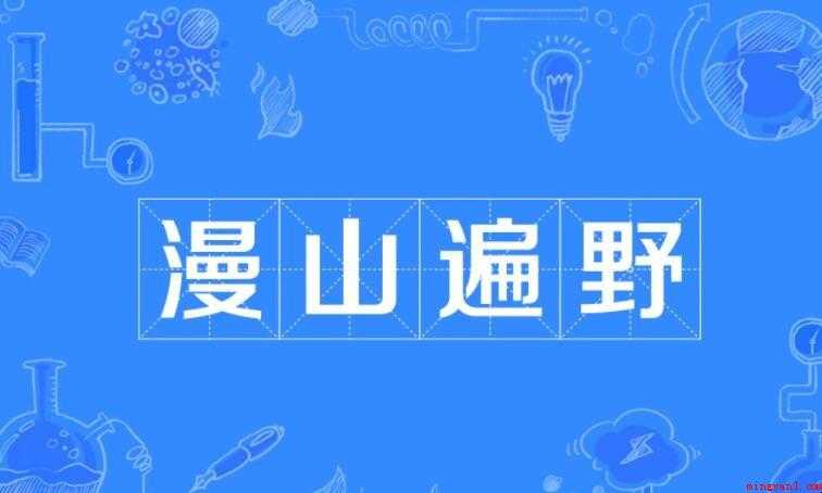漫山遍野是什么意思