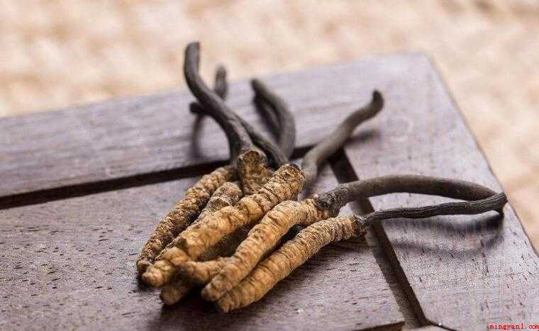 冬虫夏草的吃法有哪些