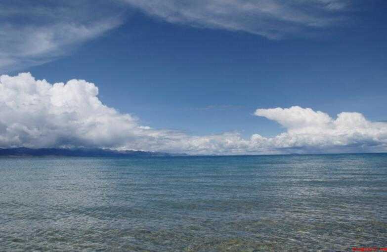 荡涤是什么意思