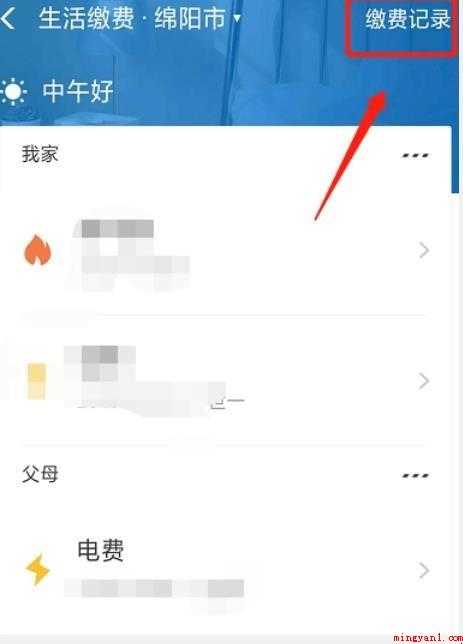 如何在网上缴纳电费