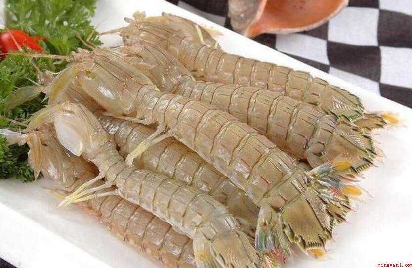 皮皮虾是虾吗