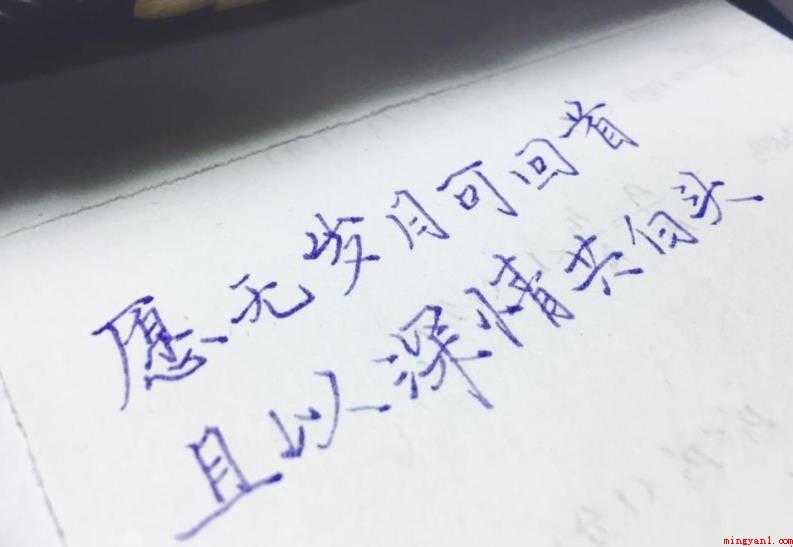 感人的句子有哪些