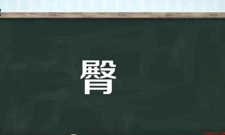 臀字组词有哪些