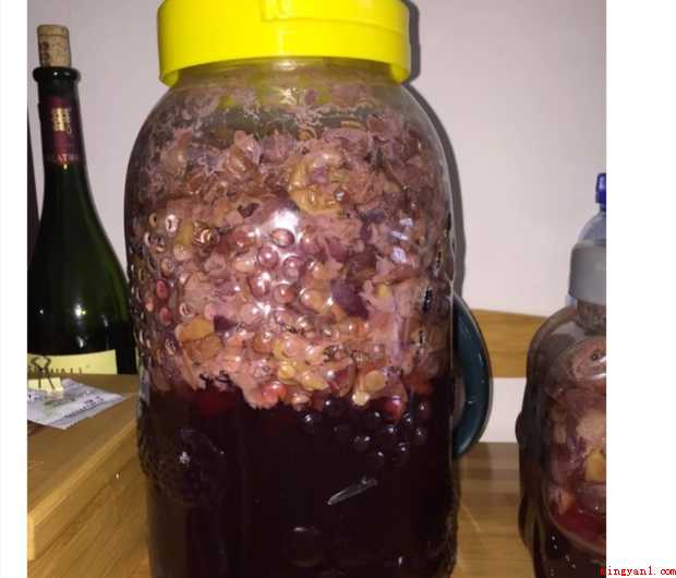 如何酿制葡萄酒