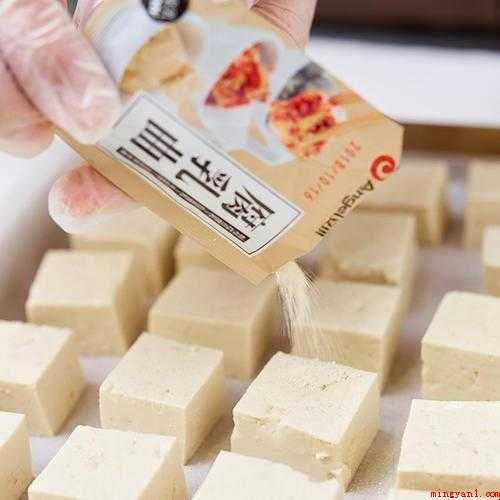 如何制作豆腐乳