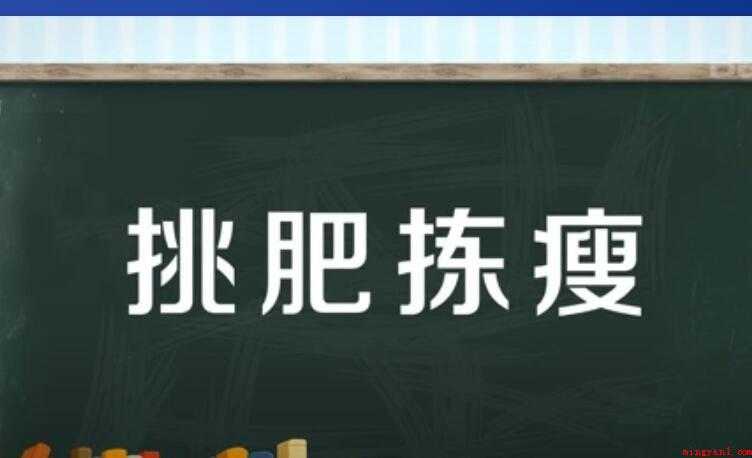 挑肥拣瘦是什么意思