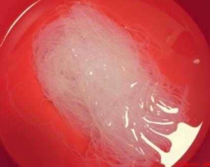 蒜蓉扇贝一般蒸多少时间