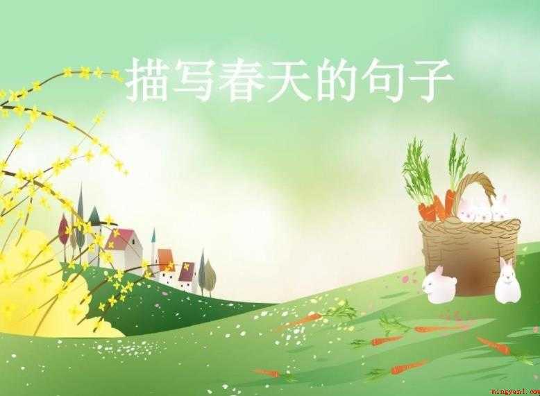 关于春天的句子有哪些