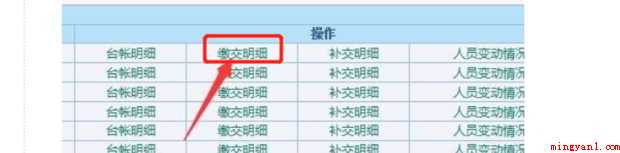 如何导出社保明细