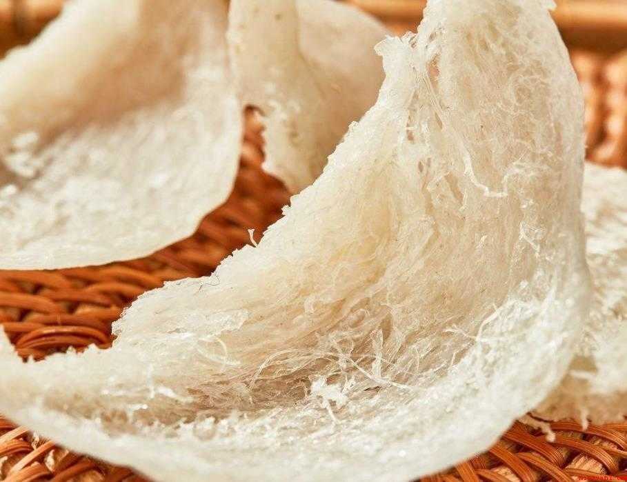 燕窝