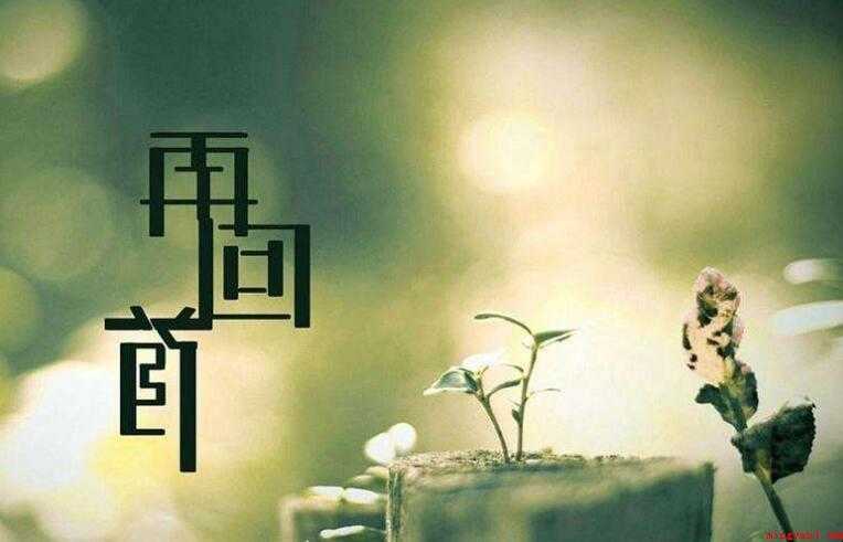 《再回首》的歌词是什么