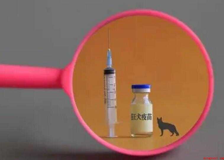 狂犬疫苗蛋白有什么用