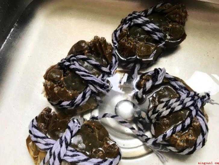 大闸蟹死了多久不能吃