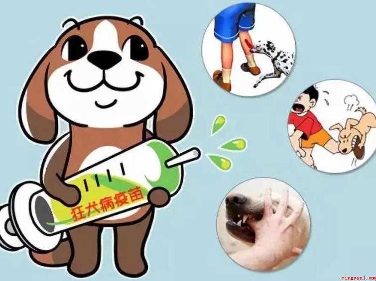 狂犬病疫苗怎么打